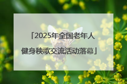 2025年全国老年人健身秧歌交流活动落幕