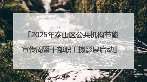 2025年泰山区公共机构节能宣传周暨干部职工摄影展启动