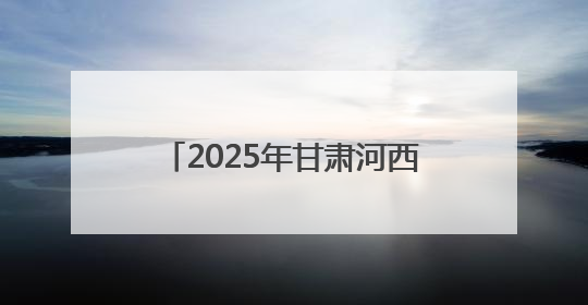 2025年甘肃河西电网大面积停电暨电力设施抢险救援政企协同联动综合应急演练在武威成功举行