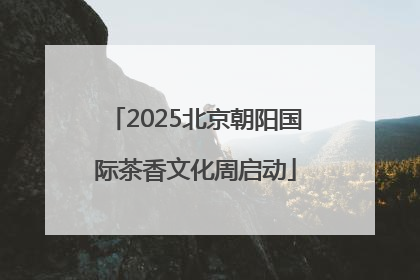 2025北京朝阳国际茶香文化周启动