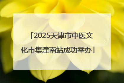 2025天津市中医文化市集津南站成功举办