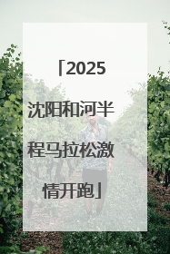 2025沈阳和河半程马拉松激情开跑