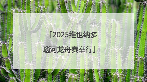 2025维也纳多瑙河龙舟赛举行