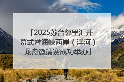 2025苏台邻里汇开幕式暨海峡两岸（洋河）龙舟邀请赛成功举办