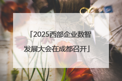 2025西部企业数智发展大会在成都召开