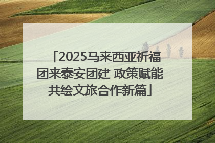 2025马来西亚祈福团来泰安团建 政策赋能共绘文旅合作新篇