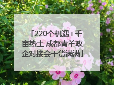 220个机遇+千亩热土 成都青羊政企对接会干货满满