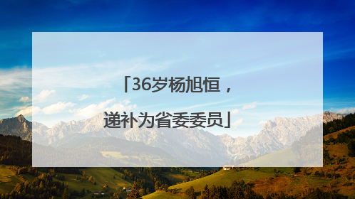 36岁杨旭恒，递补为省委委员