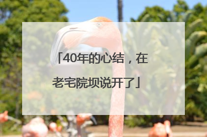 40年的心结，在老宅院坝说开了