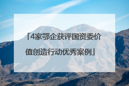 4家鄂企获评国资委价值创造行动优秀案例