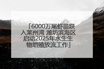 6000万尾虾苗跃入莱州湾 潍坊滨海区启动2025年水生生物增殖放流工作