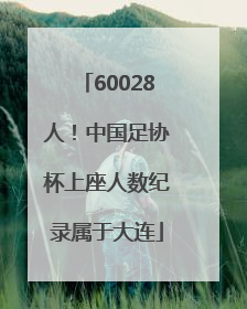 60028人！中国足协杯上座人数纪录属于大连