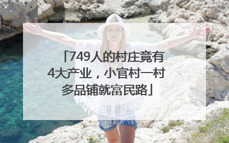 749人的村庄竟有4大产业，小官村一村多品铺就富民路