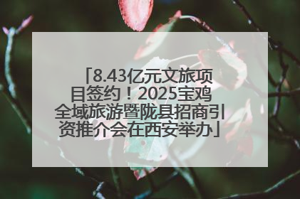 8.43亿元文旅项目签约！2025宝鸡全域旅游暨陇县招商引资推介会在西安举办