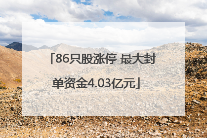 86只股涨停 最大封单资金4.03亿元