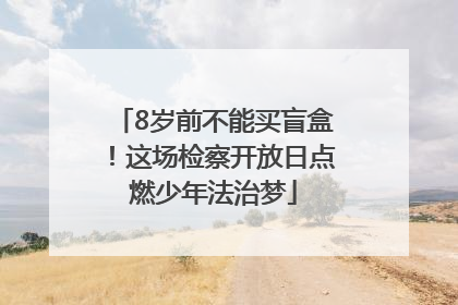 8岁前不能买盲盒！这场检察开放日点燃少年法治梦