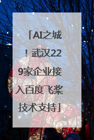 AI之城！武汉229家企业接入百度飞桨技术支持
