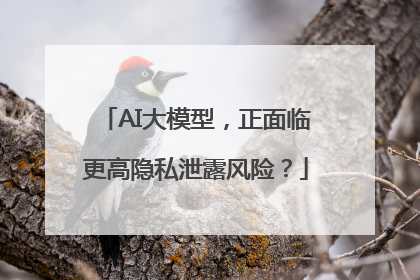 AI大模型，正面临更高隐私泄露风险？
