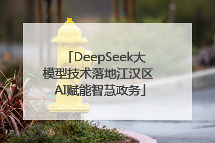 DeepSeek大模型技术落地江汉区 AI赋能智慧政务