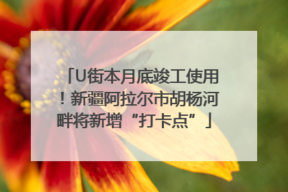 U街本月底竣工使用！新疆阿拉尔市胡杨河畔将新增“打卡点”